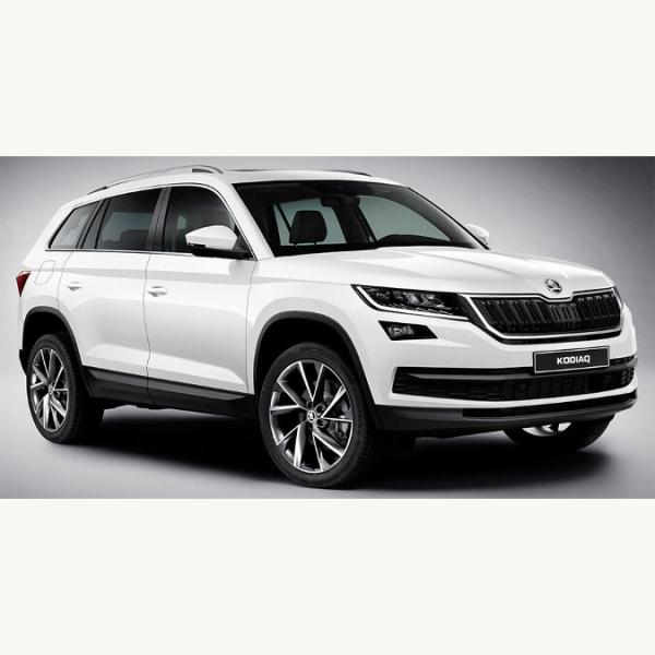 Добро пожаловать KODIAQ.